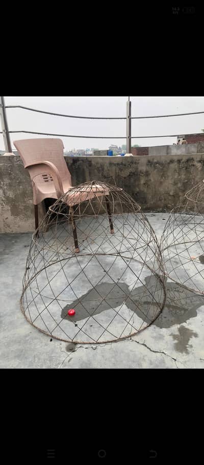 cages and tokry for sale