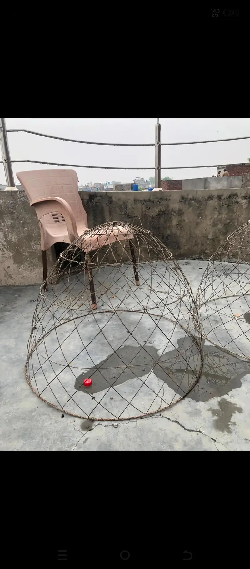 cages and tokry for sale