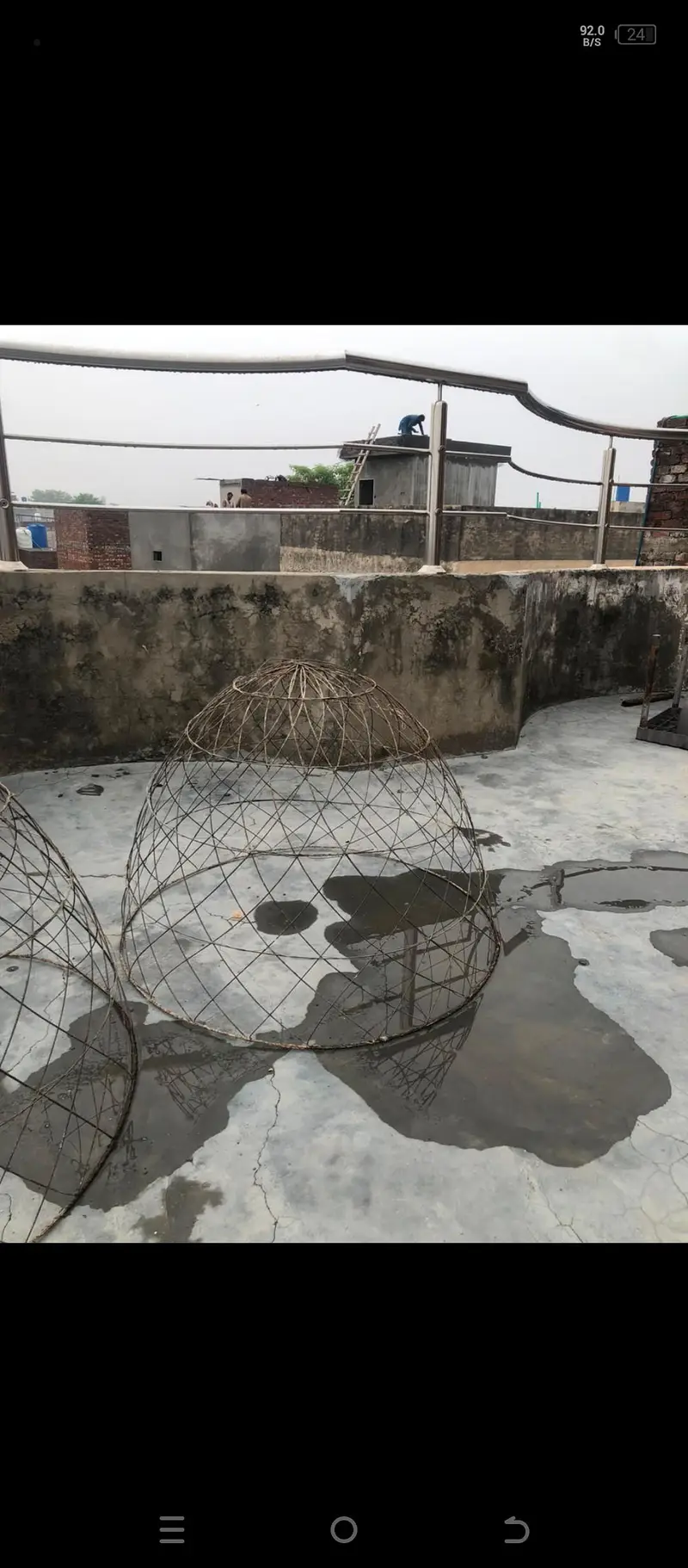 cages and tokry for sale — photo 2