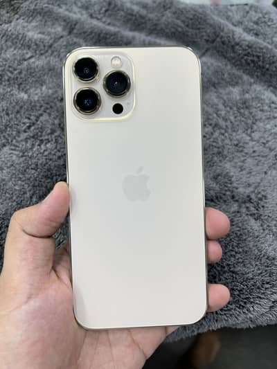Apple iPhone 13 Pro Max