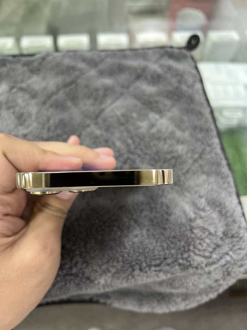 Apple iPhone 13 Pro Max 1