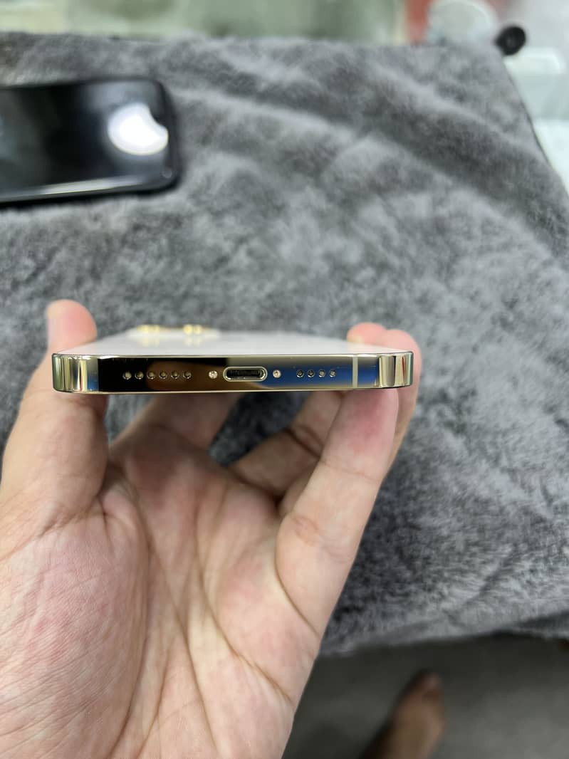 Apple iPhone 13 Pro Max 2