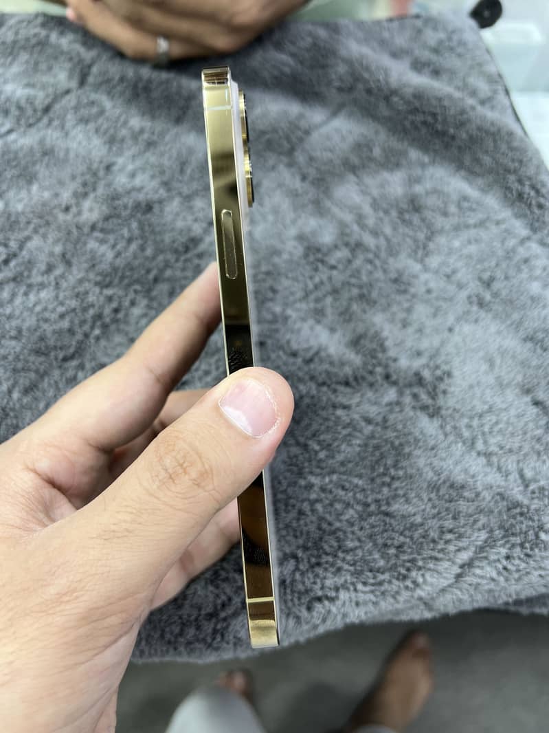 Apple iPhone 13 Pro Max 3
