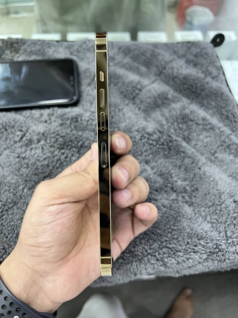 Apple iPhone 13 Pro Max 4