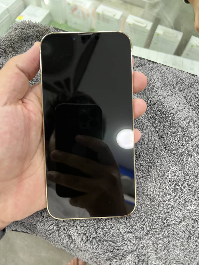 Apple iPhone 13 Pro Max 6