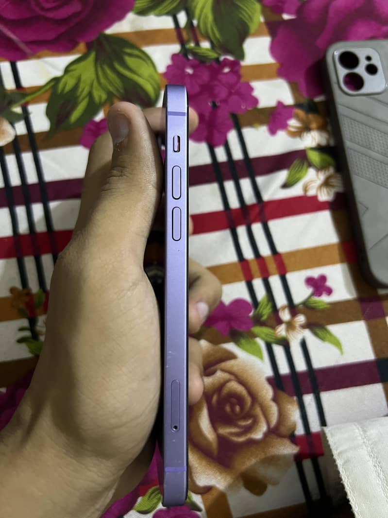 Apple iPhone 12 2