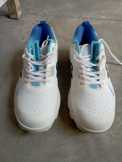 kookaburra spikes 4.0