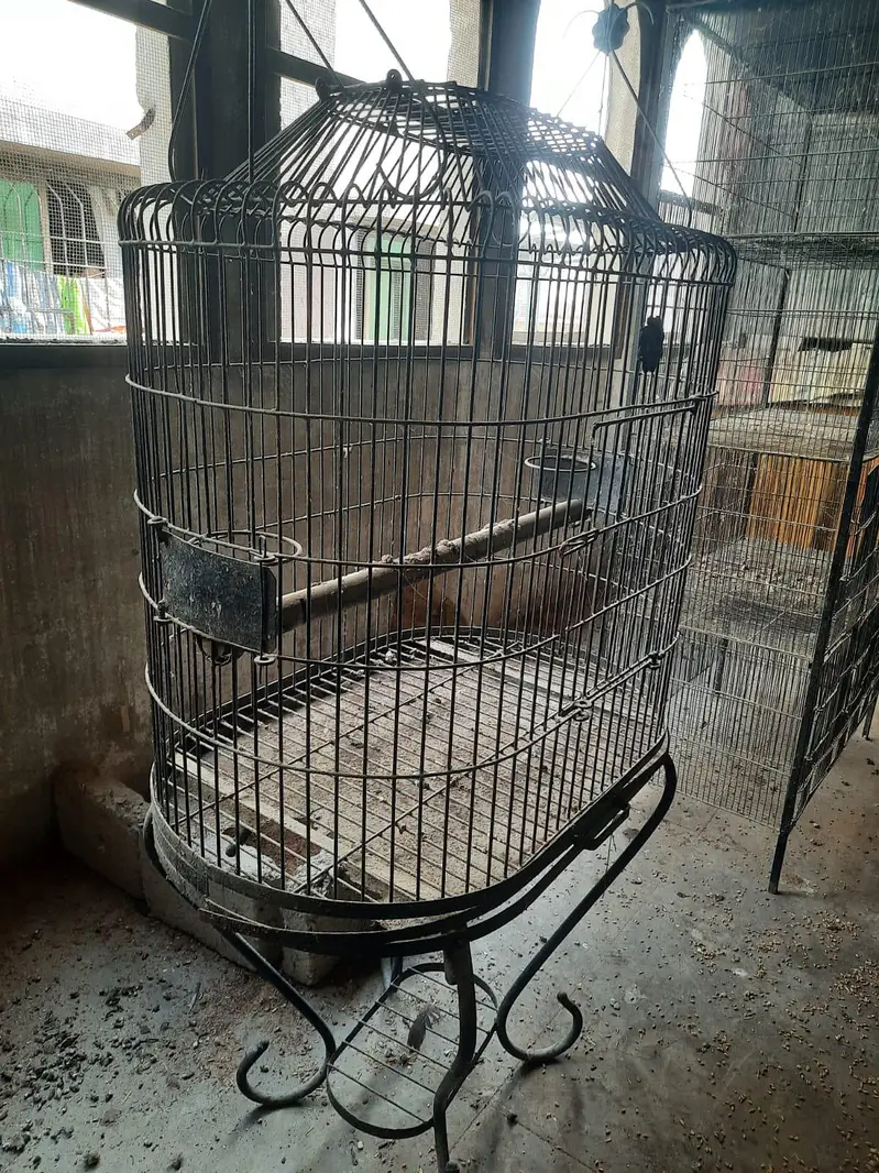3 heavy cages — photo 3