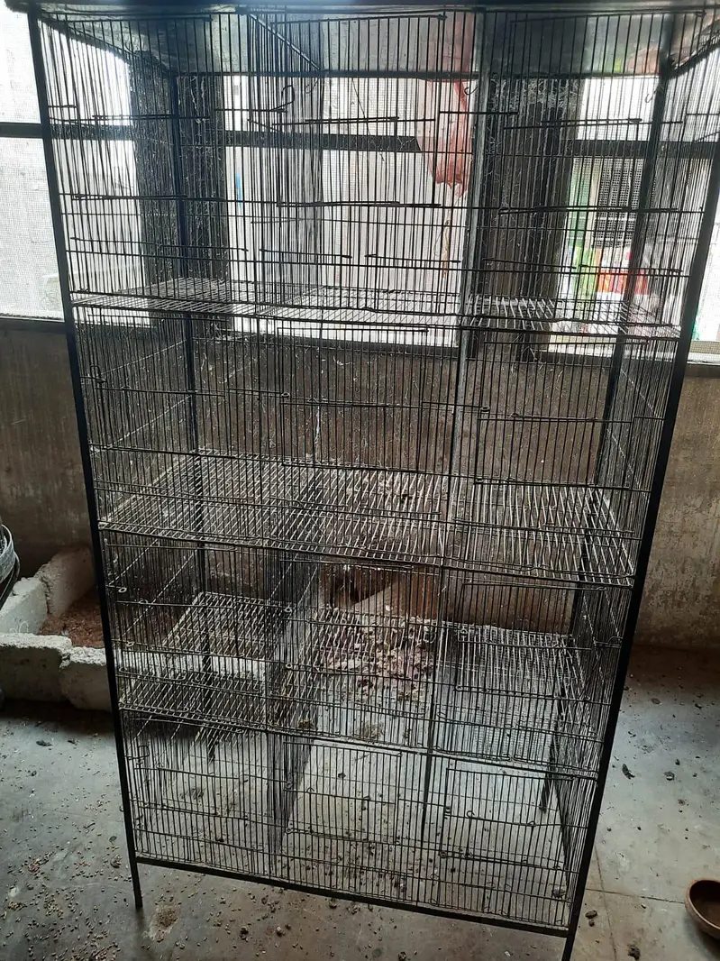3 heavy cages — photo 4