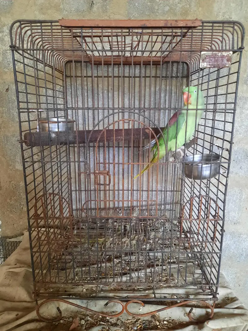 3 heavy cages — photo 6