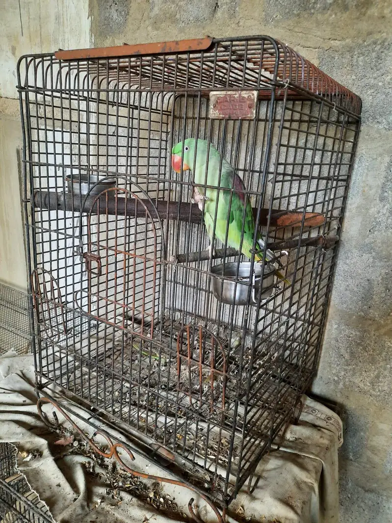 3 heavy cages — photo 7