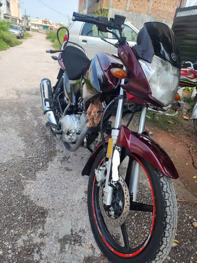 Yamaha YBR 125 Looks like brand new