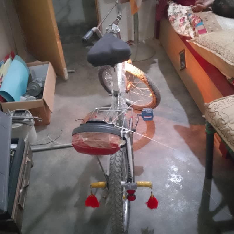 usama 1