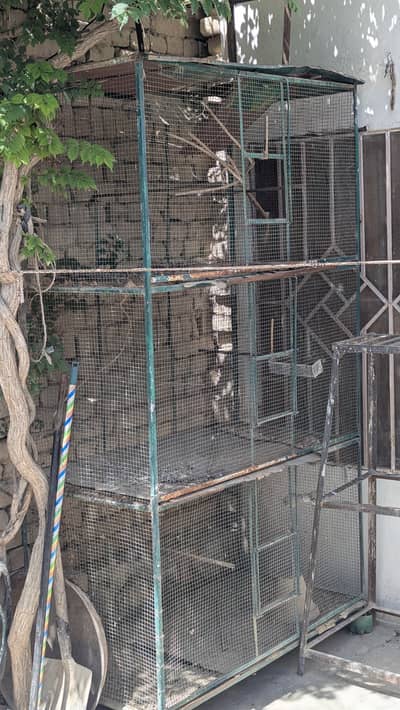 Birds cage for sale 3 portion