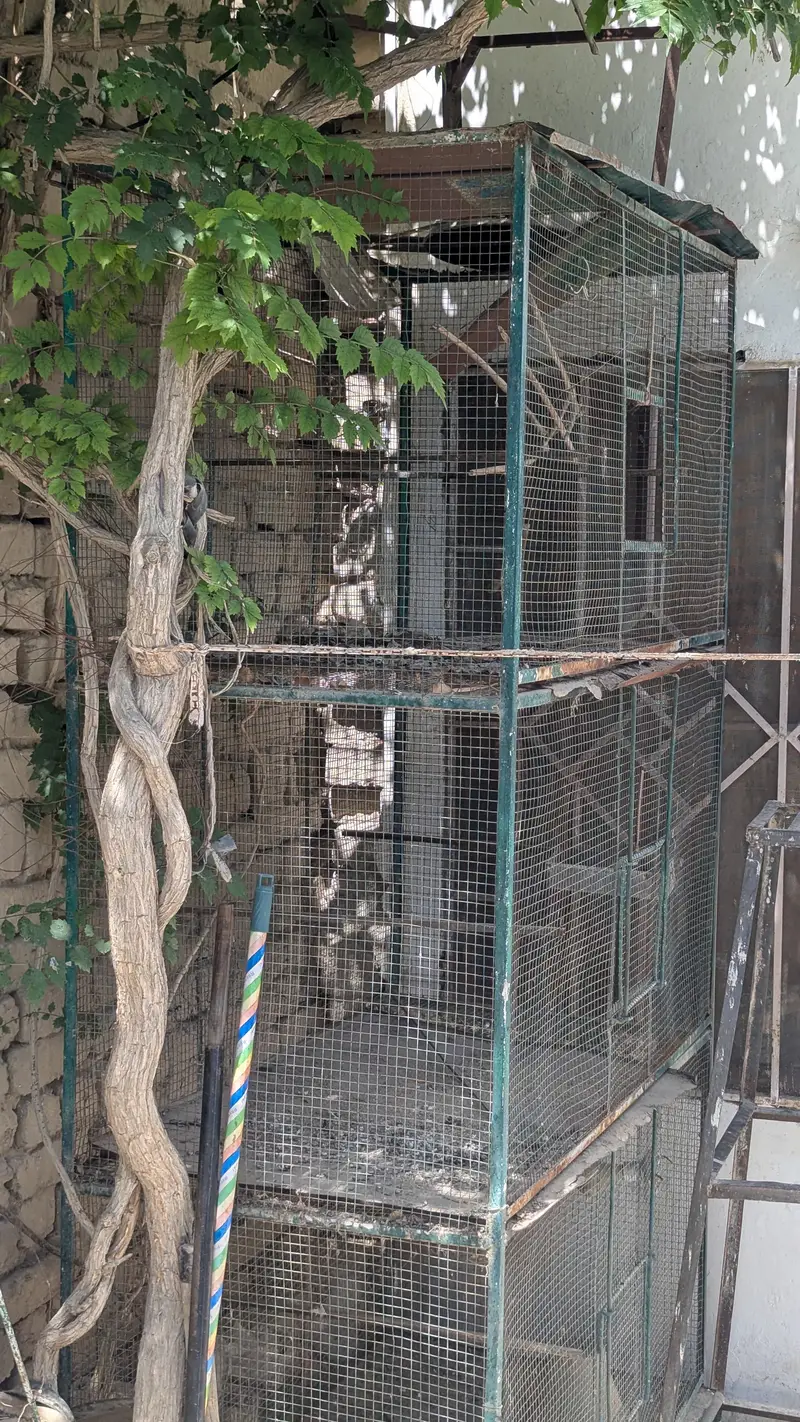 Birds cage for sale 3 portion — photo 2