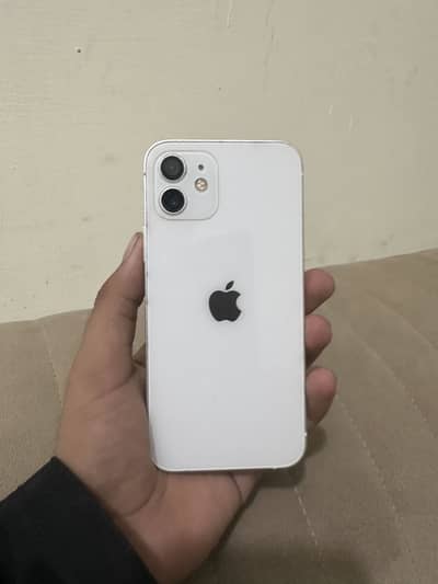 Apple iPhone 12 (jv)