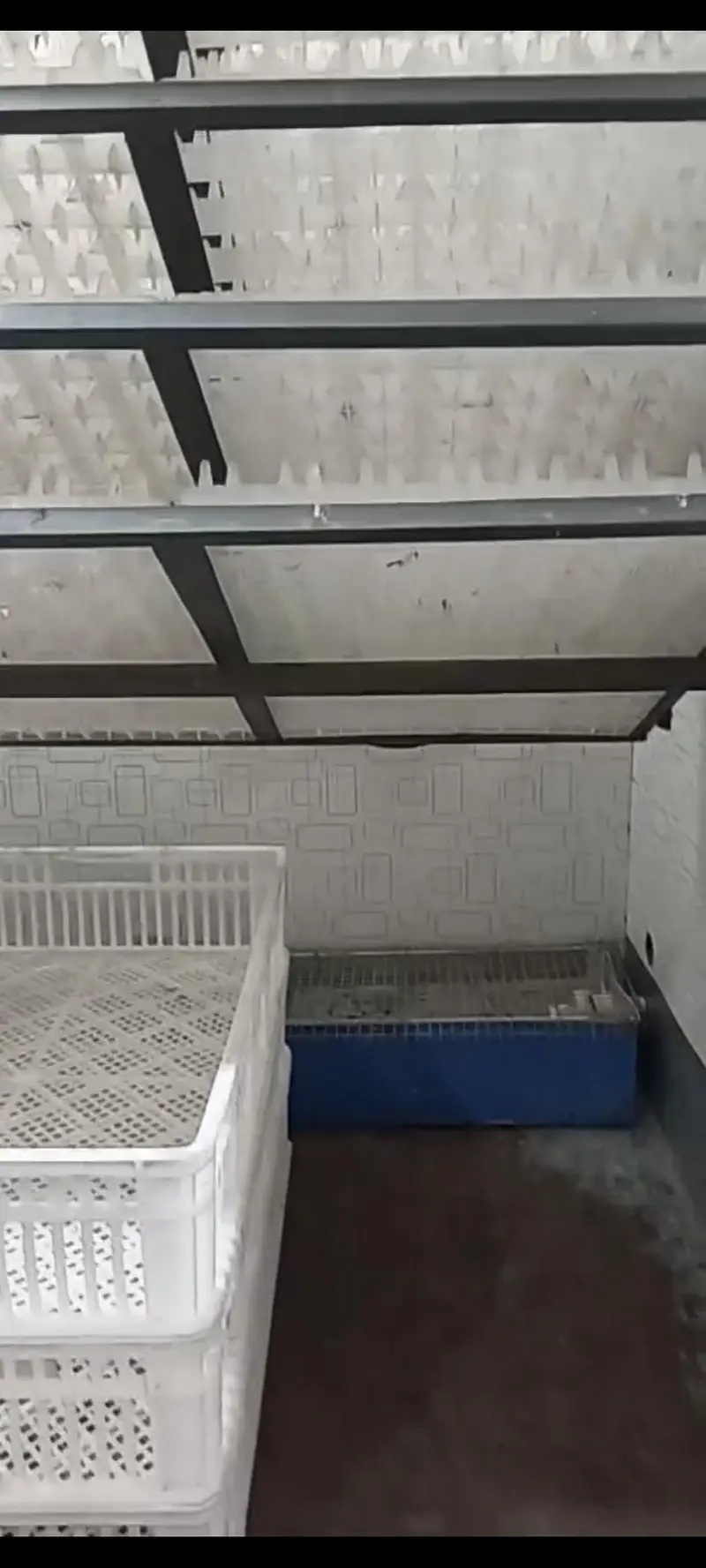 2200-Egg Capacity Fully Automatic Incubator with controller "XM-26" — photo 3