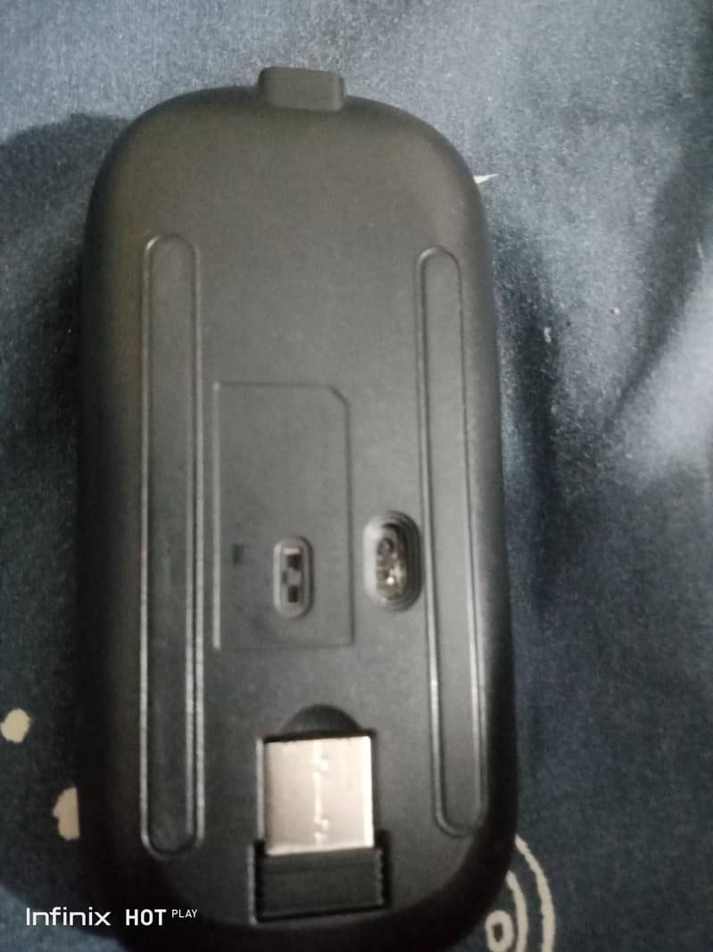 this is a mouse 1