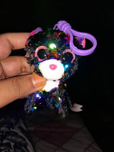 Beautiful key chain/holder