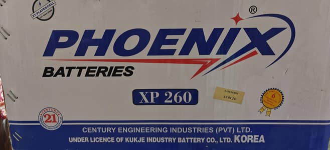 Phoenix XP 260 UPS Battery