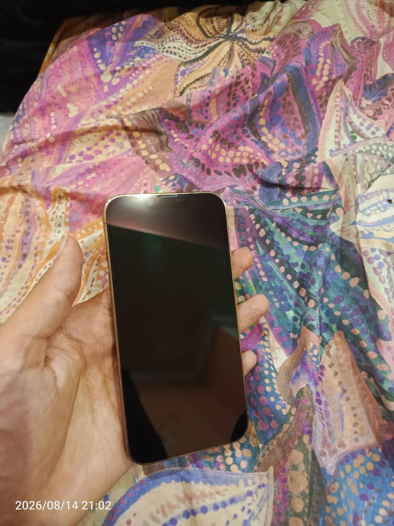Apple iPhone 13 Pro 4
