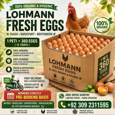 lohman brown eggs available in whole sale price 