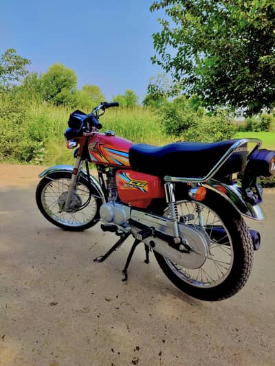 standard bike