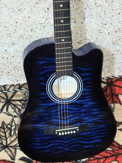 Untouched Acoustic Guitar with Complete Accessories