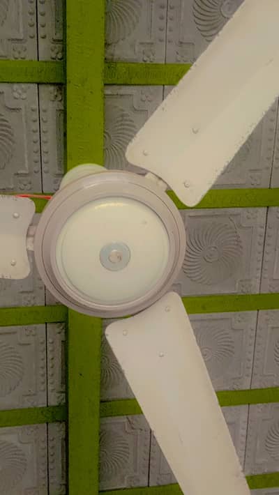 Ceiling Fan – Good Condition | Fully Working