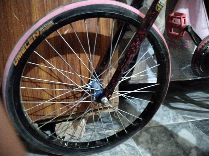 phoenix cycle 2