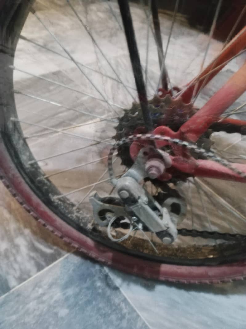 phoenix cycle 5