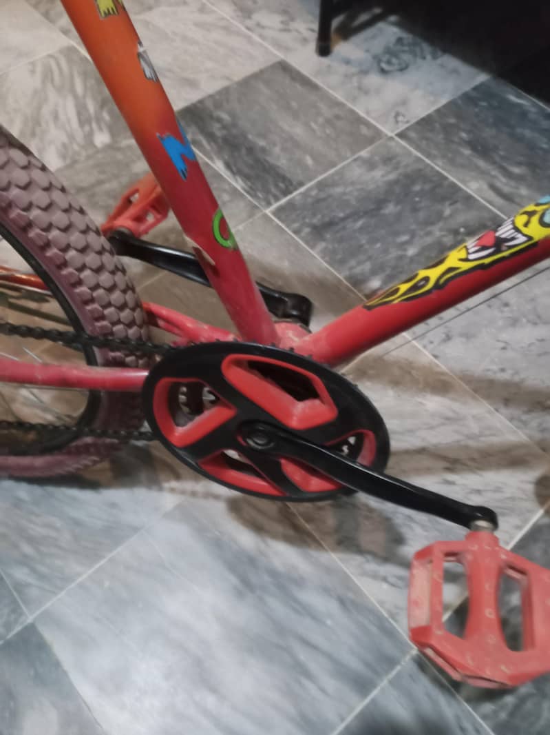 phoenix cycle 6