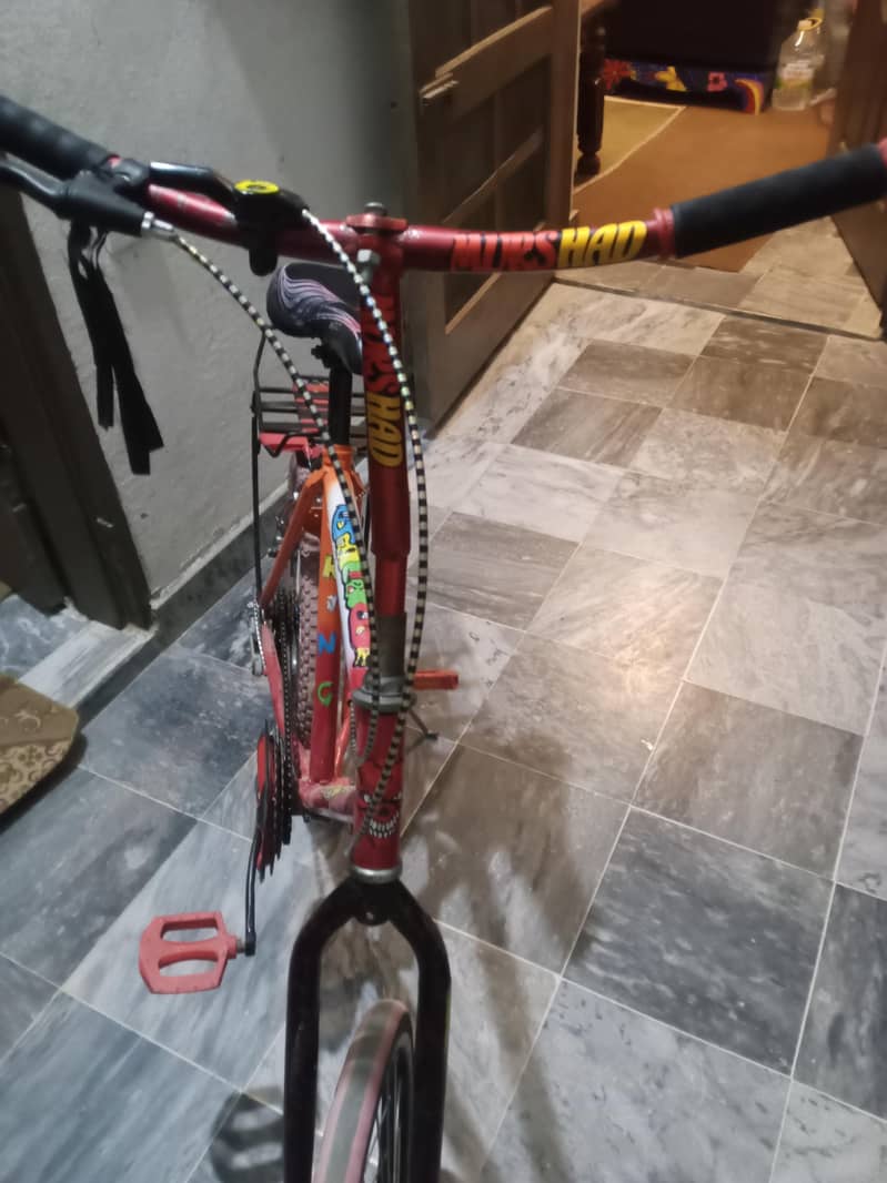 phoenix cycle 7
