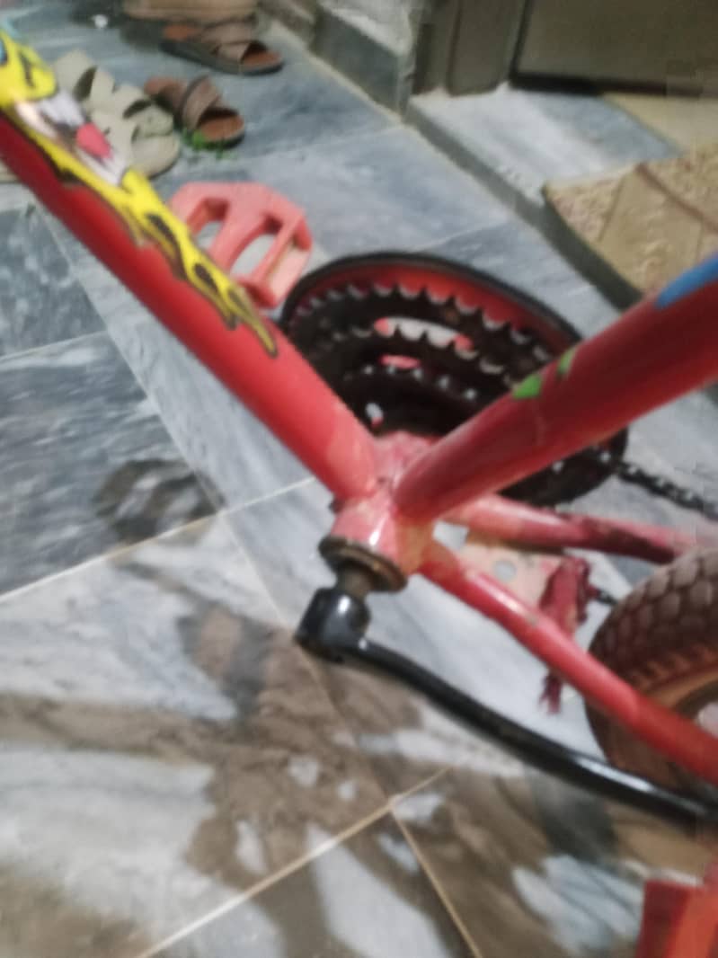phoenix cycle 10