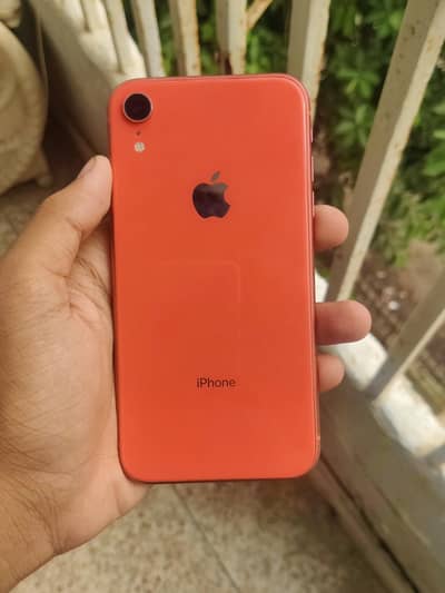 iPhone XR 128GB PTA APPROVED