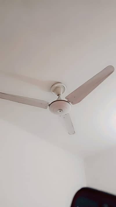 Fan for Sale