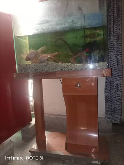 fish  aquarium for sall