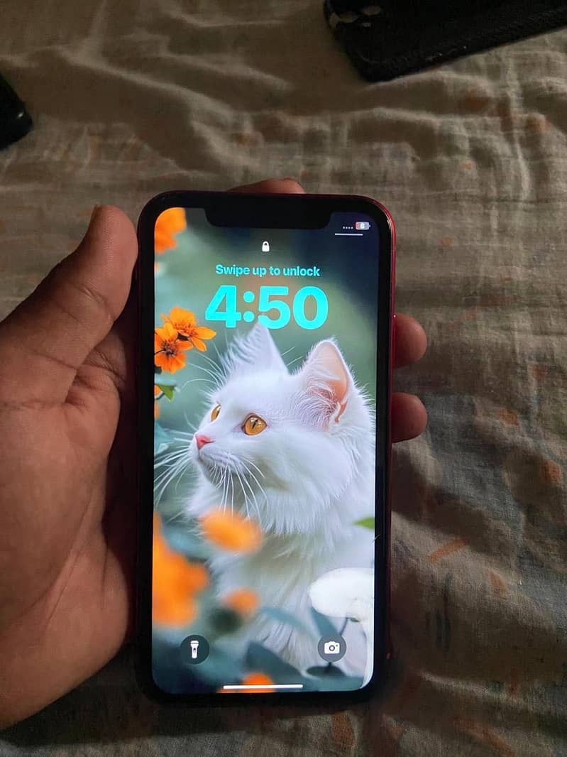 iPhone XR 1