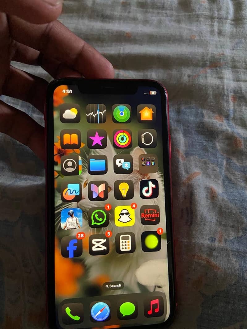 iPhone XR 6
