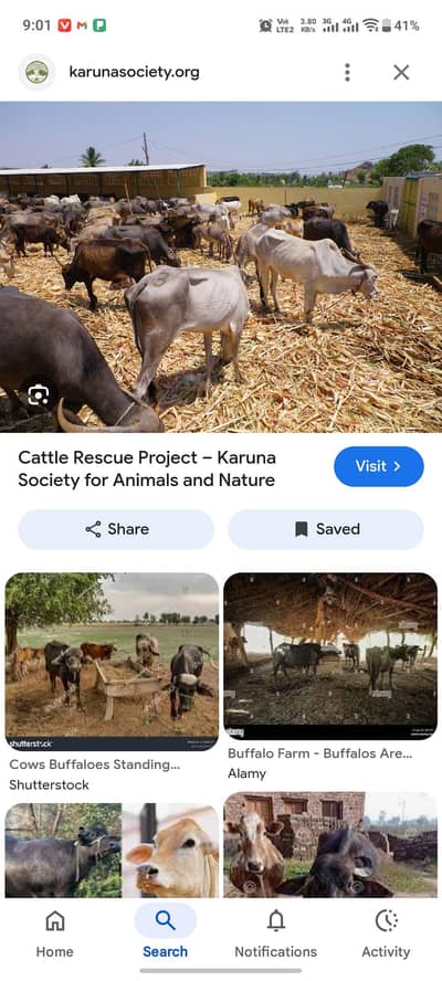 Mawashi/cattle farm ke liye 2 Noker chahiye Rehaish+khana Chowk azam