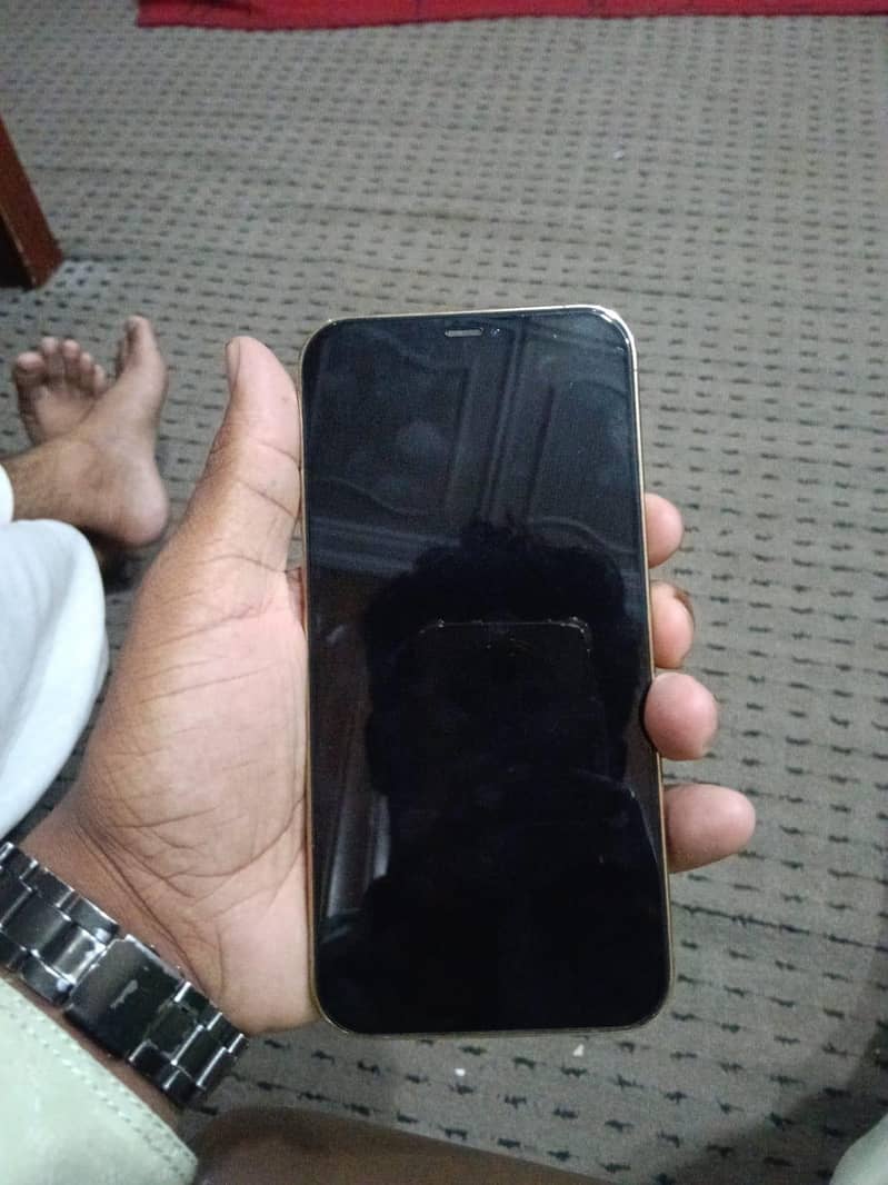 Apple iPhone 12 Pro Max 1