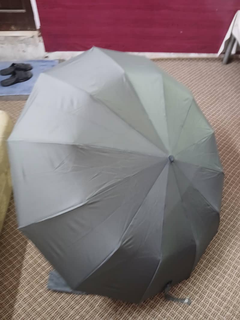 Improted Umbrella  5
