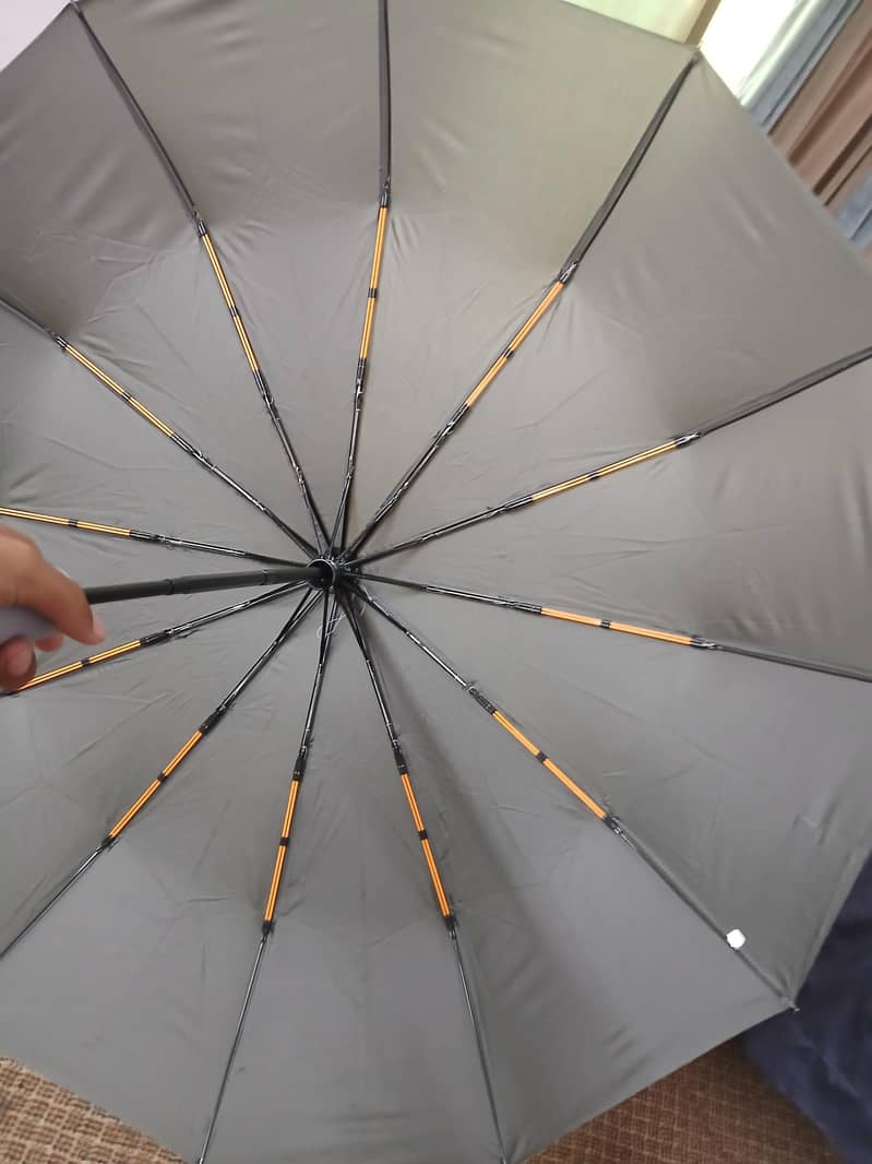 Improted Umbrella  6