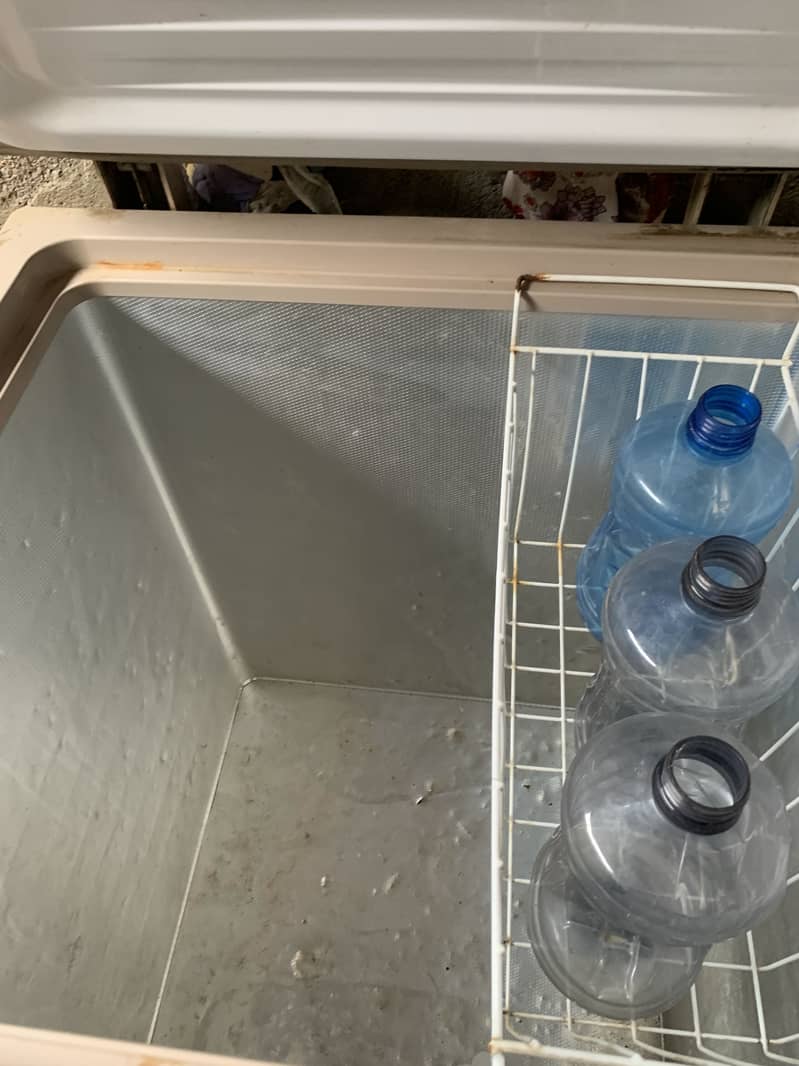 Freezers 1