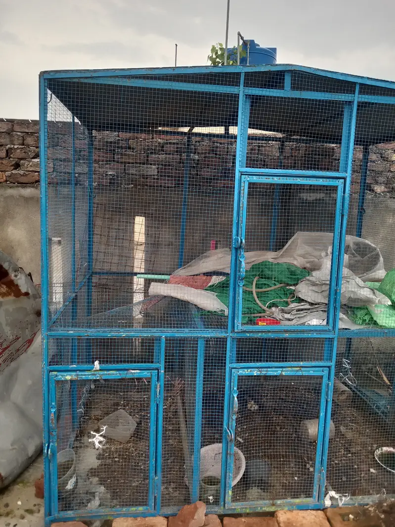 Iron cage — photo 9