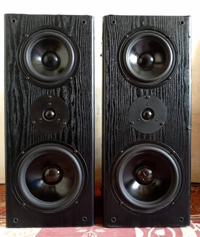 Polyway 3 Way Speaker Model 130 (Made in Denmark)(Each speaker 300watt