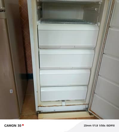 Whirlpool Upright Freezer – Spacious & Reliable