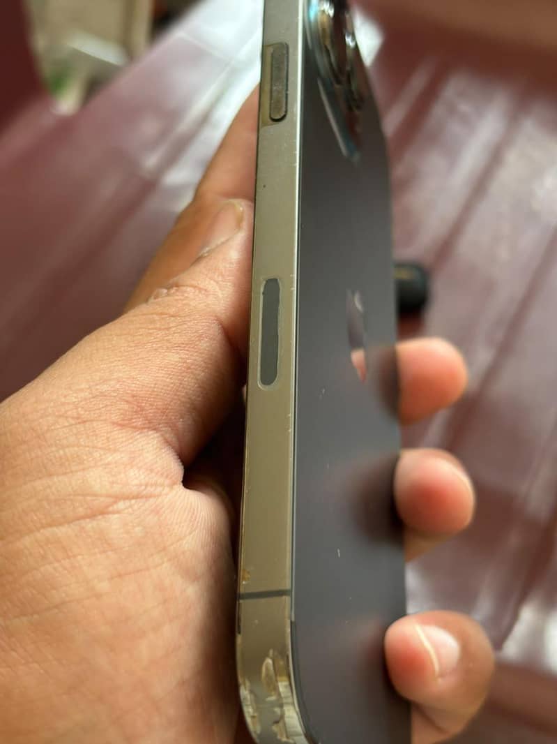 Apple iPhone 13 Pro Max 2