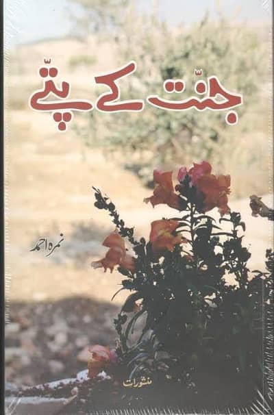 jannat ka pate novel