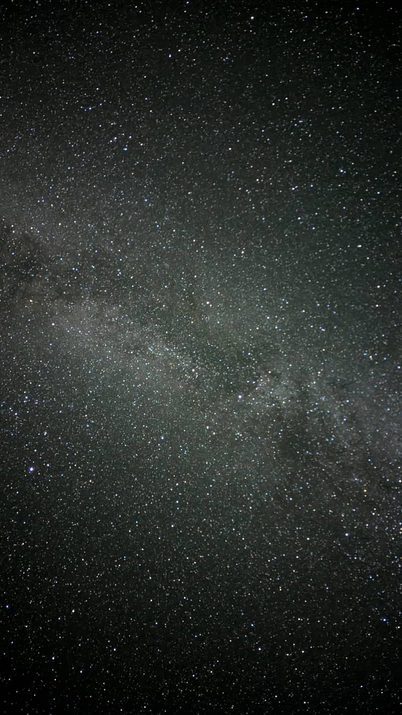 google pixel 6 pro 5